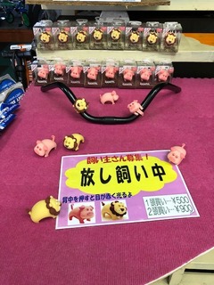 ズーアニマルライト リア POP 放し飼い中 ライオン ブタ .jpg