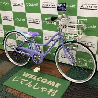 ブリヂストン ワイルドベリー(WB461)ブルーベリー(E.Xブルーベリー)斜め.jpg