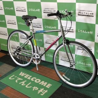 THIRDBIKES(サードバイクス)スーパーソニック(TB-20-002)サイケデリックシルバー 斜め.jpg